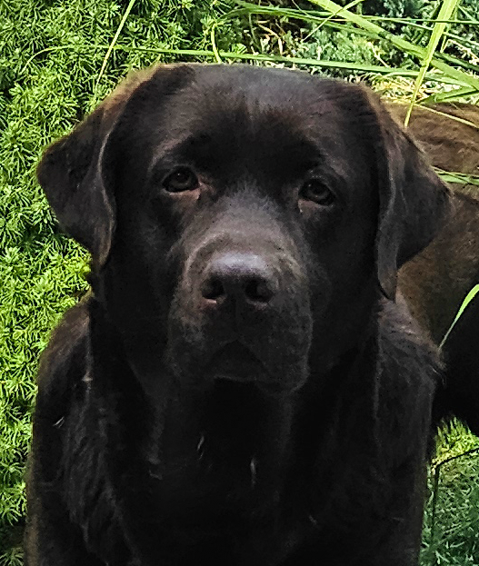 DIAMOND FASHION Crystal of Tatras