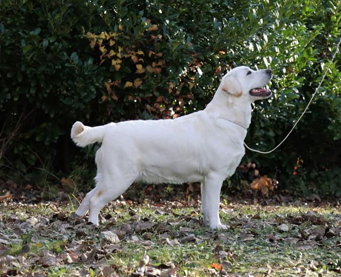 BECAUSE OF YOU z Choče