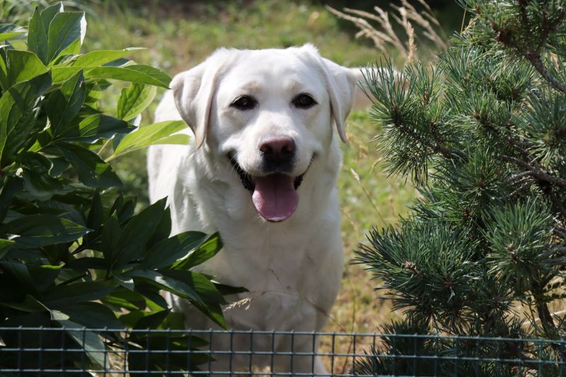 BECAUSE OF YOU z Choče